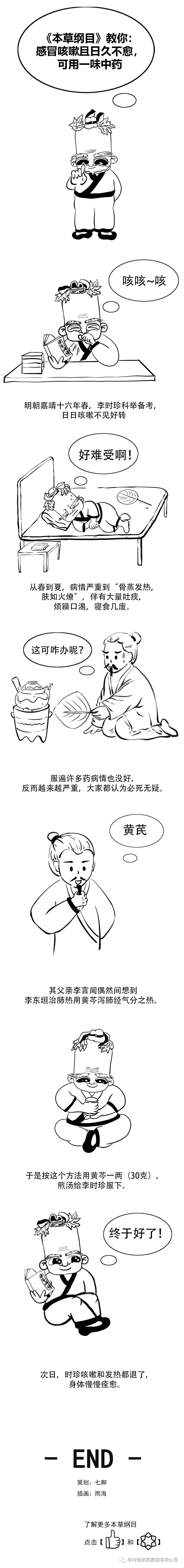 《本草纲目》教你黄芪的妙用